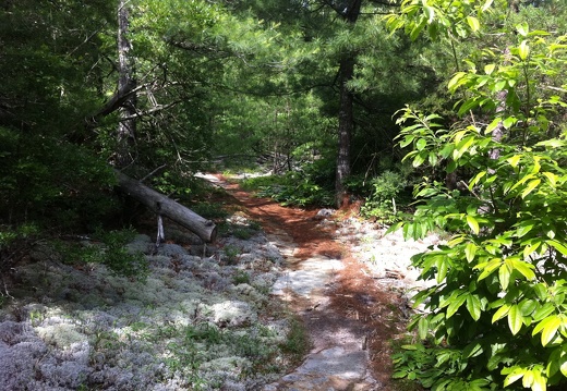 Soft trail on the JMT, Big South Fork - 27